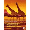 Image de L'étonnant voyage du garçon qui parlait aux girafes - Aurélie Tronchet - Nami - broché - Roman broché