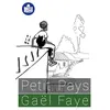 Image de Petit Pays Traduction FALC - Gaël Faye - Kilema Editions - broché - Roman broché