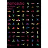 Image de Kamasutra - Brigitte Lahaie - La Martiniere Eds De - broché - Guide broché