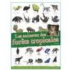Image de Les animaux des forêts tropicales - Collectif - Piccolia - cartonné - Document jeunesse dès 6 ans cartonné