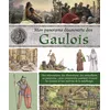Image de Mon panorama découverte des gaulois - Anne Eydoux - Piccolia - broché - Document jeunesse broché