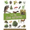 Image de La vie des arbres - Giorgia Farnesi - Piccolia - broché - Document jeunesse broché