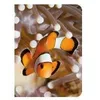 Image de Poisson clown - - Collectif - Piccolia - Carnet (de voyage, intime, de notes) (donnée non spécifiée)