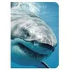 Image de Requin - - Collectif - Piccolia - Carnet (de voyage, intime, de notes) (donnée non spécifiée)