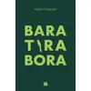 Image de Baratirabora - Michel Taillandier - Du Pantheon Eds - broché - Roman broché