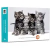 Image de Agenda - Calendrier Chats et chatons 2026 - Collectif - Hugo Image - Agenda
