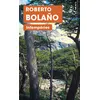 Image de Intempéries - Roberto Bolaño - Points - Poche - Roman