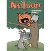 Image de Nelson - Tome 2 - Catastrophe naturelle - Bertschy - Dupuis - cartonné - Bande dessinée jeunesse