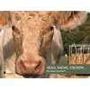 Image de Veau, vache, cochon... - Nicolette Humbert - Joie De Lire - cartonné - Album éveil dès la naissance cartonné