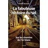 Image de La fabuleuse histoire du sel Sur les chemins de l'or blanc - André Besson - Cabedita - broché - Essai