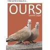 Image de Ours - Laurent Cappe - Vendeurs De Mots - broché - Roman broché