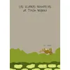 Image de Le Lapin Les sciences naturelles de Tatsu Nagata - Tatsu Nagata - Seuil Jeunesse - relié - Document jeunesse dès 3 ans relié