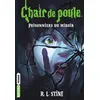 Image de Chair de poule , Tome 04 Prisonniers du miroir - R.L. Stine - Bayard Jeunesse - Poche - roman jeunesse Poche