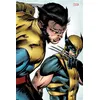 Image de Je suis Wolverine - Edition Anniversaire 50 ans - Edition collector - COMPTE FERME - Collectif - Panini Comics - cartonné - Comics cartonné