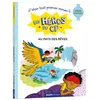 Image de Les heros du cp - super debutant - au pays des reves - Joëlle Dreidemy - Auzou Philippe Eds - broché - Scolaire / Universitaire broché