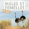 Image de Mâles et femelles - Naturagency - La Martiniere Eds De - cartonné - Document jeunesse cartonné