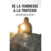 Image de De la tendresse à la tristesse - John Billotet - Le Lys Bleu - broché - Poésie broché