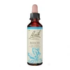 Image de Fleurs de bach n°3 beech 20ml