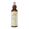 Image de Fleurs de bach n°7 chestnut bud 20ml
