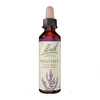 Image de Fleurs de bach n°14 heather 20ml