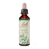 Image de Fleurs de bach n°15 holly 20ml