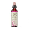 Image de Fleurs de bach n°19 larch 20ml