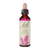 Image de Fleurs de bach n°24 pine 20ml