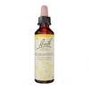 Image de Fleurs de bach n°28 scleranthus 20ml