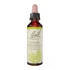 Image de Fleurs de Bach n°35 White Chestnut 20ml