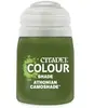 Image de Peinture Games Workshop Citadel-Shade Athonian Vert 18 ml 9918995305206