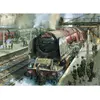 Image de Puzzle 1000 pièces : Observateurs à Carlisle Gibsons-G6406