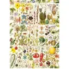 Image de Puzzle 1000 pièces : Bonheur botanique Gibsons-G7160