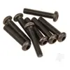 Image de Cap Head Hex Screw M3x5 (6pcs) (Karoo) VTAS01127