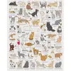 Image de Puzzle 1000 pièces : Amoureux des chats Galison-78575