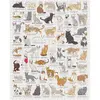 Image de Puzzle 1000 pièces : Amoureux des chats