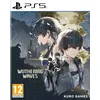 Image de Wuthering Waves Deluxe Collection PS5