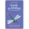 Image de Carte Drôles de petites bêtes : Ursule la libellule et autres histoires