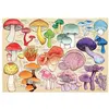 Image de Puzzle 1000 pièces : Mushroom Mania HP0710