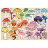 Image de Puzzle 1000 piÃ¨ces : Mushroom Mania