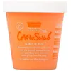 Image de Gommage exfoliant cuir chevelu Grow Long Umberto Giannini 250G