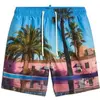 Image de Short de bain Superdry Photographic Bleu L M3010233A-VEJ