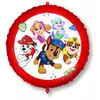 Image de Un ballon rond - Pat'patrouille LPAT92975