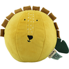 Image de Balle sonore Mr. Lion