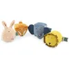 Image de Lot de 4 blocs sensoriels All Animals