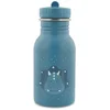 Image de Gourde Mr. Triceratops (350 ml)