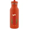 Image de Gourde Mr. Parrot (500 ml)