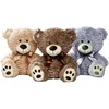 Image de OURS ASSIS 25 CM