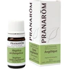 Image de Pranarôm huile essentielle angélique 5ml