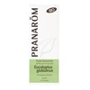 Image de Pranarôm eucalyptus globuleux huille essentielle 10ml
