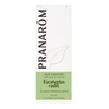 Image de Pranarôm eucalyptus radié huile essentielle 10ml